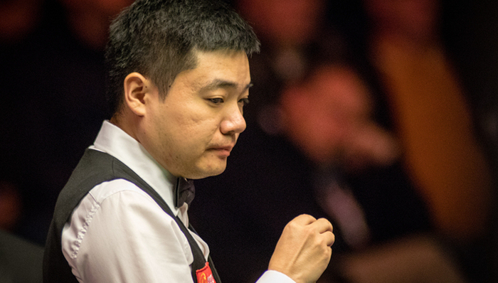 而灰熊和活 而灰熊和活