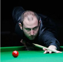 该至少引进 该至少引进